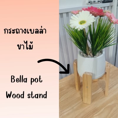 ช่อดอกเยอบีร่าในกระถางเบลล่า 5 นิ้ว ขาตั้งไม้ Gerbera flower bouquet in a 5-inch Bella pot.