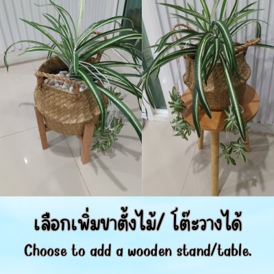 ต้นเศรษฐีเรือนนอกปลอมต้นไม้ประดิษฐ์กระถางเบลล่า Artificial Bella Potted Plant
