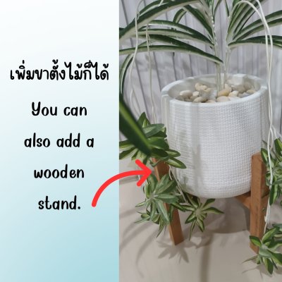 ต้นเศรษฐีเรือนนอกปลอมต้นไม้ประดิษฐ์กระถางเบลล่า Artificial Bella Potted Plant