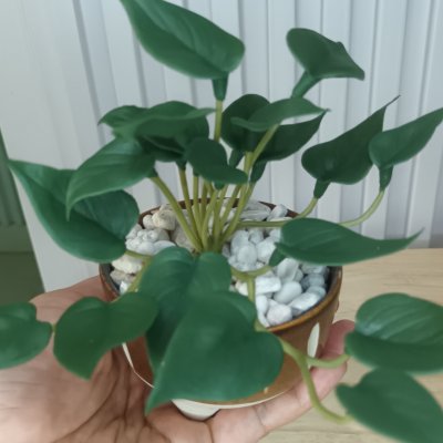 ต้นไม้ปลอมประดิษฐ์ขนาดเล็กSmall artificial plant