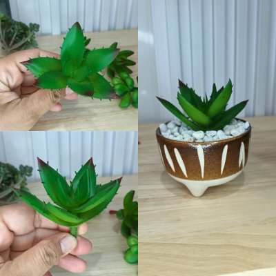 แคคตัสปลอมประดิษฐ์เฉพาะต้นไม้ Artificial cactus specifically for plants.