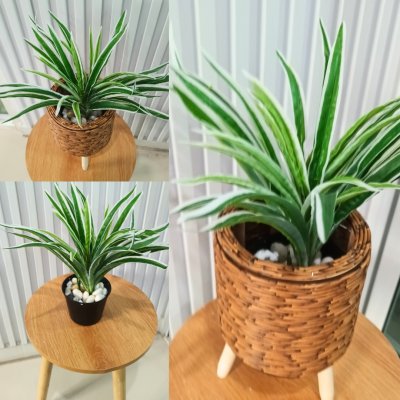 ต้นเศรษฐีเรือนนอกปลอมประดิษฐ์ตะกร้าสาน(หวายเทียม) Artificial plant