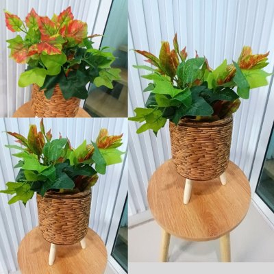 ต้นไม้ปลอมต้นไม้ประดิษฐ์ใบสวยงามเหมือนจริงแต่งบ้านแต่งร้าน Artificial plant, beautiful realistic leaves