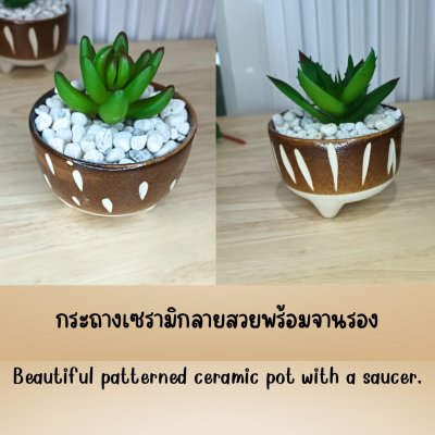 แคคตัสปลอมต้นไม้ประดิษฐ์ในกระถางเซรามิก Artificial cactus in a ceramic pot.