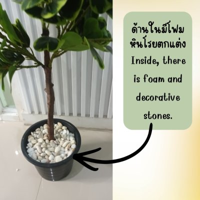 ต้นหัวใจเศรษฐี (สาริกาด่าง) ต้นไม้ปลอมประดิษฐ์กระถาง 9 นิ้ว Artificial Mistletoe Fig