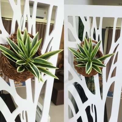 ต้นไม้ปลอมประดิษฐ์ใบสวยตะกร้าสาน Artificial plant in woven basket