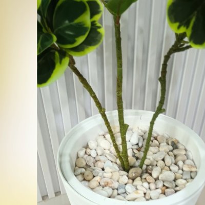 (3P) ต้นหัวใจเศรษฐี (สาริกาด่าง) ต้นไม้ปลอมประดิษฐ์ Artificial Mistletoe Fig