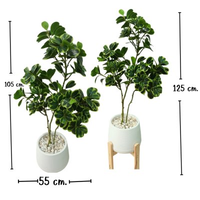 ต้นหัวใจเศรษฐี (สาริกาด่าง) ต้นไม้ปลอมประดิษฐ์กระถางเบลล่า 9 นิ้ว Artificial Mistletoe Fig