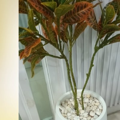 (3P)ต้นโกสนปลอม ต้นไม้ปลอมประดิษฐ์ Artificial Croton Plant