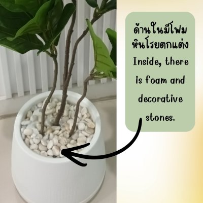 ต้นไทรใบสักปลอมต้นไม้ประดิษฐ์ขนาดใหญ่กระถางเบลล่า 9 นิ้ว Artificial / Fake Fiddle-leaf fig