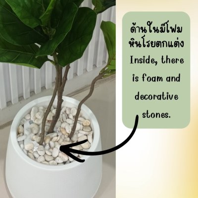 ต้นยางอินเดียปลอมต้นไม้ประดิษฐ์ขนาดใหญ่กระถางเบลล่า 9 นิ้ว Artificial / Fake Indian Rubber Plant