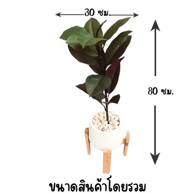 ต้นยางอินเดียปลอมใบโทนเขียวแดงกระถางเบลล่า7นิ้วพร้อมขาตั้งไม้