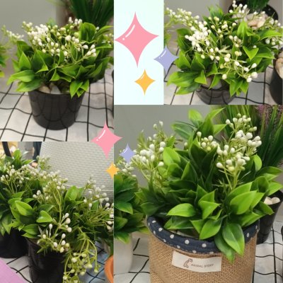 ดอกหญ้าขาวดอกไม้ปลอมประดิษฐ์