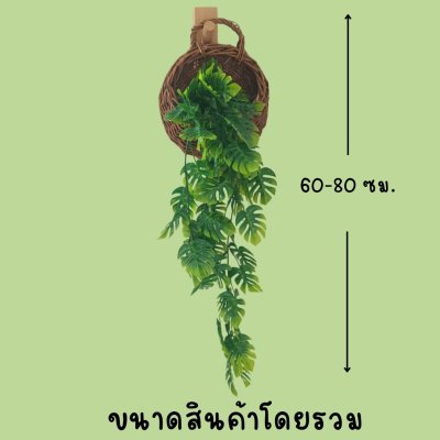 ต้นไม้เลื้อยปลอมประดิษฐ์ในตะกร้าหวายแขวนผนังมีหลายแบบ