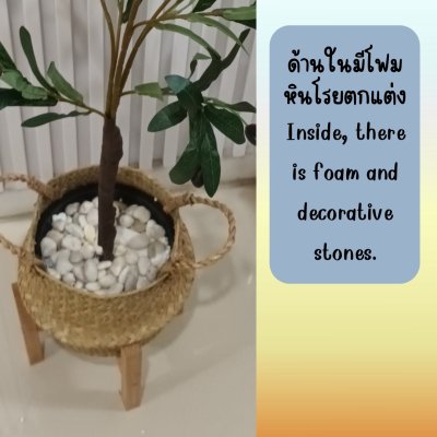 ต้นมะกอกโอลีฟปลอมประดิษฐ์ Artificial / Fake Olive Tree