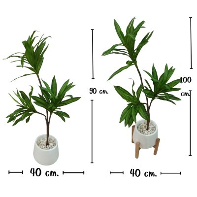 ต้นดราซีน่่าปลอมต้นไม้ประดิษฐ์ Artificial / Fake Dracaena plant