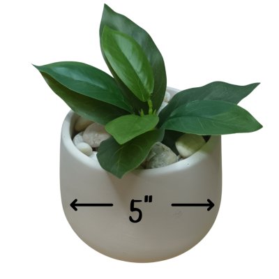 ต้นไม้ปลอมขนาดเล็กกระถาง 5" Small artificial plant with a 5-inch clay pot.