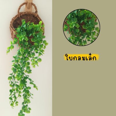 ต้นไม้เลื้อยปลอมประดิษฐ์ในตะกร้าหวายแขวนผนัง Artificial climbing plant in a wicker basket.
