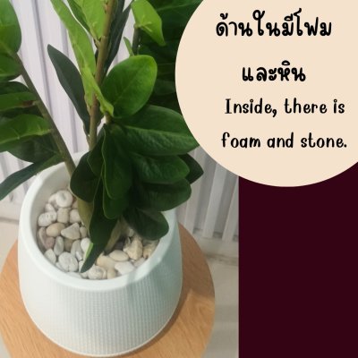 ต้นกวักมรกตประดิษฐ์/ปลอม Artificial ZZ Plant