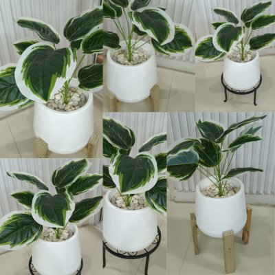 ต้นไม้ปลอมประดิษฐ์ใบลายสวยกระถางเบลล่า 7 นิ้วขาตั้ง Artificial tree in a Bella pot with a stand