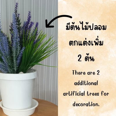 ช่อดอกลาเวนเดอร์ปลอมในกระถางพลาสติกสีขาว6นิ้วพร้อมจานรอง Artificial lavender in plastic pot