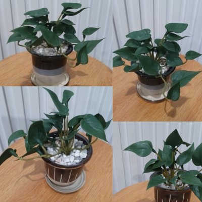 ต้นไม้ปลอมประดิษฐ์ขนาดเล็กในกระถางเซรามิก Small artificial plant in a ceramic pot.