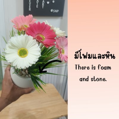 ช่อดอกเยอบีร่าในกระถางเบลล่า 5 นิ้ว ขาตั้งไม้ Gerbera flower bouquet in a 5-inch Bella pot.