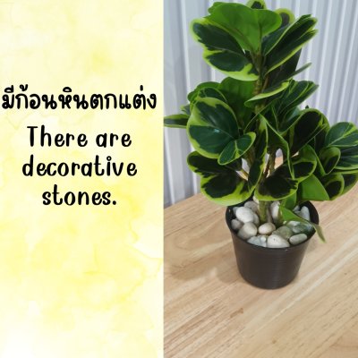 ต้นหัวใจเศรษฐี (สาริกาด่าง) ปลอมประดิษฐ์ตะกร้าสานพลาสติก Artificial Mistletoe Fig
