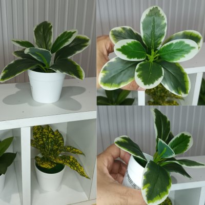 ต้นไม้ปลอมขนาดเล็กกระถางพลาสติกสีขาว 3 นิ้ว Small artificial plant