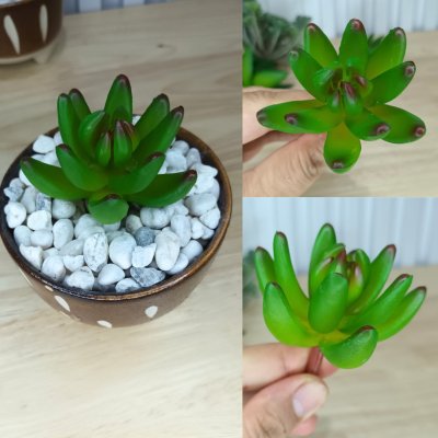 แคคตัสปลอมประดิษฐ์เฉพาะต้นไม้ Artificial cactus specifically for plants.