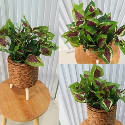 ต้นไม้ปลอมต้นไม้ประดิษฐ์ใบสวยงามเหมือนจริงแต่งบ้านแต่งร้าน Artificial plant, beautiful realistic leaves