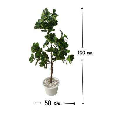ต้นหัวใจเศรษฐี (สาริกาด่าง) ต้นไม้ปลอมประดิษฐ์กระถาง 9 นิ้ว Artificial Mistletoe Fig