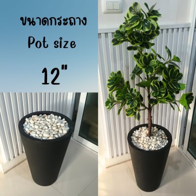 12 นิ้ว กระถางพลาสติกสีขาวทรงสูง มีหินและโฟม White tall plastic pot