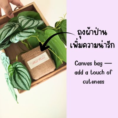 ต้นไม้เลื้อยปลอมประดิษฐ์บนกรอบไม้ artificial vine mounted on a wooden frame
