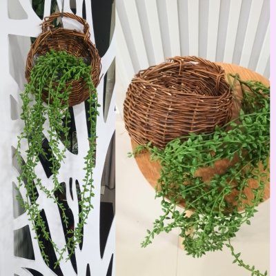 ต้นไม้เลื้อยปลอมประดิษฐ์ตะกร้าสาน Artificial climbing plant in woven basket