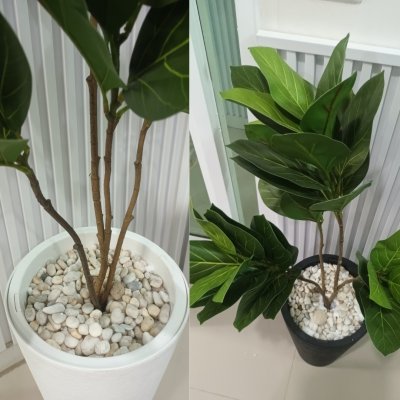 ต้นยางอินเดียปลอมในกระถางทรงสูง 12 นิ้ว Artificial Rubber Plant Home Decor