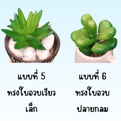 แคคตัสปลอมในกระถางเซรามิก