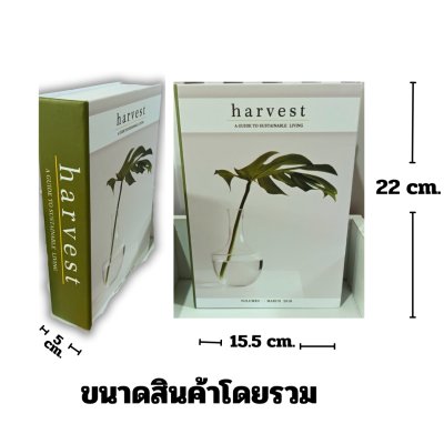 หนังสือปลอมของตกแต่งวินเทจ