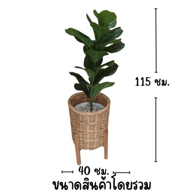 ต้นไทรใบสักปลอมในตะกร้าหวายพร้อมขาตั้งไม้ | Artificial Fiddle Leaf Fig tree