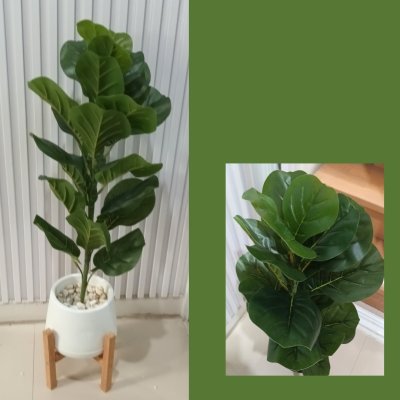 ต้นไทรใบสักปลอมขนาดใหญ่เหมือนจริง Artificial / Fake Fiddle Leaf Fig plant