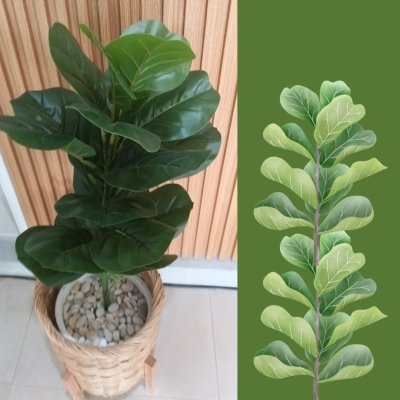 ต้นไทรใบสักปลอมขนาดใหญ่เหมือนจริง Artificial / Fake Fiddle Leaf Fig plant