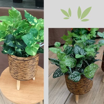 ต้นไม้ปลอมต้นไม้ประดิษฐ์ใบสวยงามเหมือนจริงแต่งบ้านแต่งร้าน Artificial plant, beautiful realistic leaves