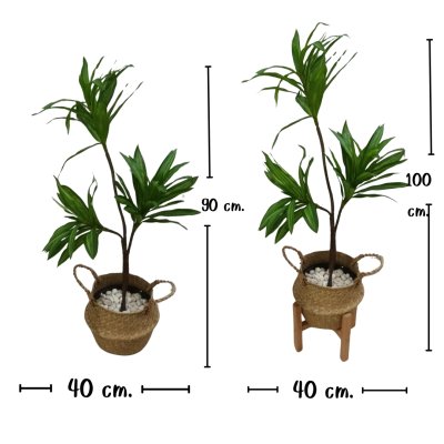 ต้นดราซีน่่าปลอมต้นไม้ประดิษฐ์ขนาดใหญ่ Artificial / Fake Dracaena plant ต้นดราซีน่่าปลอมต้นไม้ประดิษฐ์ขนาดใหญ่ Artificial / Fake Dracaena plant