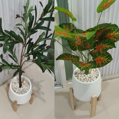 กระถางเบลล่า7-9นิ้วพร้อมขาตั้งไม้ Bella 7-9-inch pot with wooden stand กระถางเบลล่า7-9นิ้วพร้อมขาตั้งไม้ Bella 7-9-inch pot with wooden stand