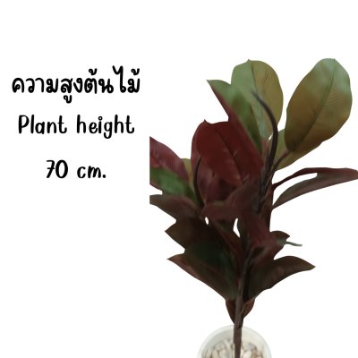 ต้นยางอินเดียปลอมประดิษฐ์ Artificial Rubber Tree