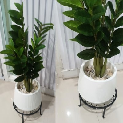 ต้นกวักมรกตประดิษฐ์/ปลอม Artificial ZZ Plant