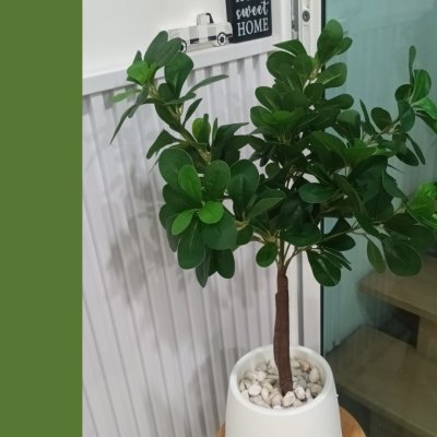 ต้นช้อนเงินช้อนทองประดิษฐ์ Artificial Banyan Tree