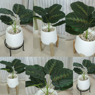 ต้นไม้ปลอมประดิษฐ์ใบลายสวยกระถางเบลล่า 7 นิ้วขาตั้ง Artificial tree in a Bella pot with a stand