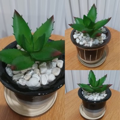 แคคตัสปลอมต้นไม้ประดิษฐ์ในกระถางเซรามิก Artificial cactus in a ceramic pot.