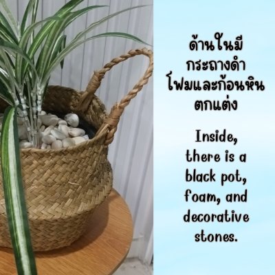 ต้นเศรษฐีเรือนนอกปลอมต้นไม้ประดิษฐ์กระถางเบลล่า Artificial Bella Potted Plant